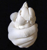 Paw-Casting Memories Kit