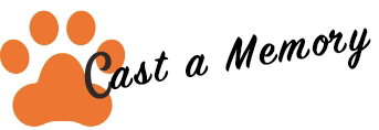 castamemorystore